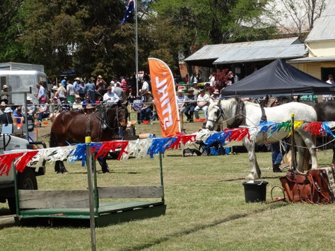 Carcoar Show - New South Wales Tourism  0