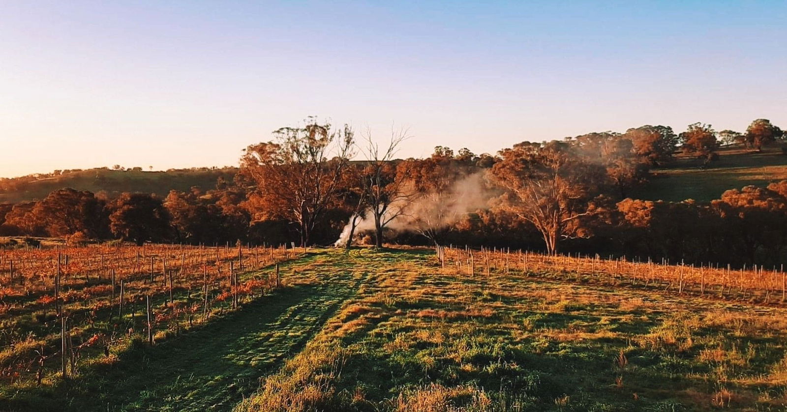 Lidster NSW New South Wales Tourism 