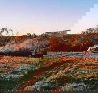 Cargo Road Wines Grande Fiamma - New South Wales Tourism 