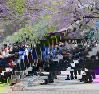 Celtic Festival of Queensland - New South Wales Tourism 