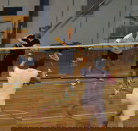 Charlton Badminton Club Ladies Tournament - New South Wales Tourism 