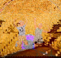 Christmas Lights Spectacular New Year's Eve at Hunter Valley Gardens - New South Wales Tourism 