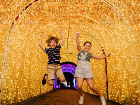 Christmas Lights Spectacular New Year's Eve At Hunter Valley Gardens - New South Wales Tourism  0