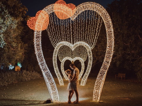 Christmas Lights Spectacular New Year's Eve At Hunter Valley Gardens - New South Wales Tourism  1