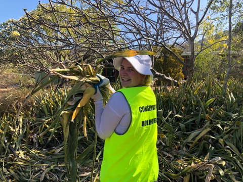 Conservation Volunteers Australia Townsville - Beach Scrub Conservation - New South Wales Tourism  0