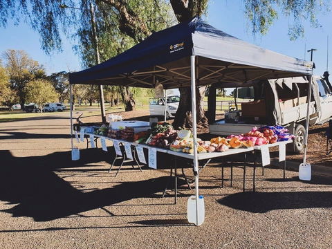Cootamundra Girl Guides Markets - New South Wales Tourism  0