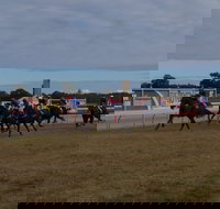 Corowa Horseraces - New South Wales Tourism 