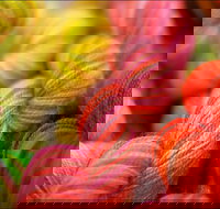 Creative Fibre - New South Wales Tourism 