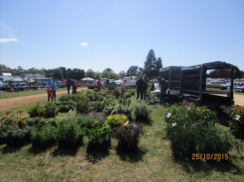 Crookwell Rotary Swap Meet And Market Day - New South Wales Tourism  1