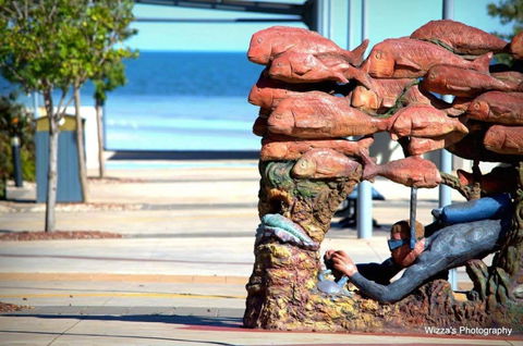 Cuttlefish Art Trail - Cuttlefest 2020 - New South Wales Tourism  0