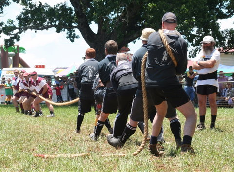 Dorrigo Agricultural Show - New South Wales Tourism  1