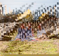 Family Picnic Weekend - New South Wales Tourism 