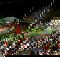 Forest Hill Christmas Festival - New South Wales Tourism 