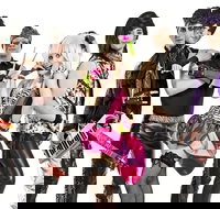 Forever 80's - The Village Green Hotel - New South Wales Tourism 