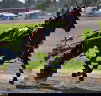 Forbes Show - New South Wales Tourism 