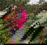 Fruit Taste Adventure Tours - New South Wales Tourism 