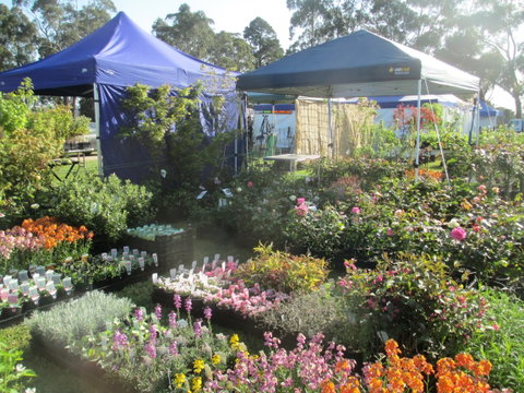 Gippsland Garden And Home Expo-Drouin Lions Club - New South Wales Tourism  1