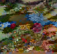 Glenrock Gardens Open Garden - New South Wales Tourism 