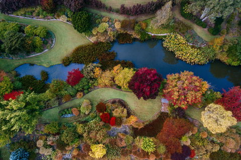 Glenrock Gardens Open Garden - New South Wales Tourism  0