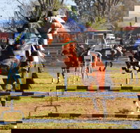 Glen Innes Pastoral and Agricultural Show - New South Wales Tourism 