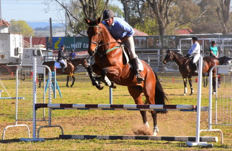 Glen Innes Pastoral And Agricultural Show - New South Wales Tourism  0