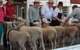 Glen Innes Pastoral And Agricultural Show - thumb 2