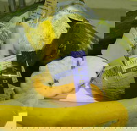 Goulburn Show - New South Wales Tourism 