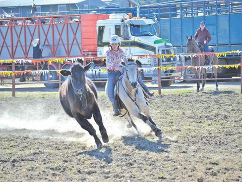 Gresford  Campdraft And Rodeo - New South Wales Tourism  0