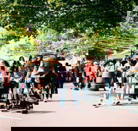 Hahndorf Christkindlmarkt - New South Wales Tourism 