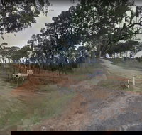 Hartwood Campfires and Country Music - New South Wales Tourism 