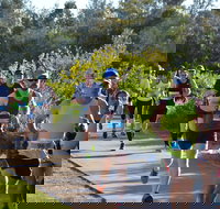 Husky Half Running Festival - New South Wales Tourism 