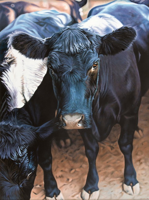 Ivan Durrant - New South Wales Tourism  0