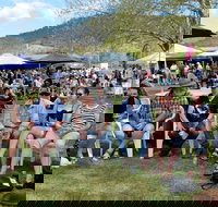 Jamming at Jingellic - New South Wales Tourism 