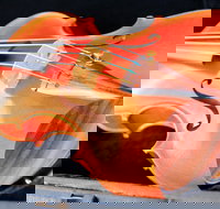 Kendall National Violin Competition Finals Weekend - New South Wales Tourism 