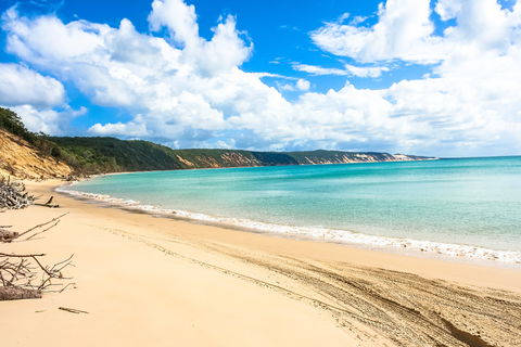 Longreach Leg - Beach To Reach 2020 - New South Wales Tourism  2