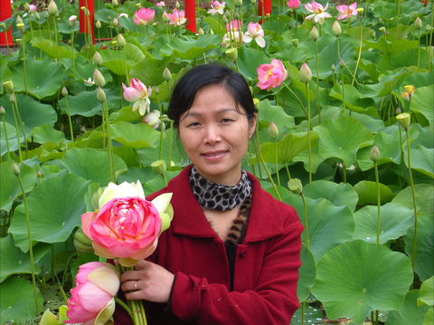 Lotus Flower Season - New South Wales Tourism  1