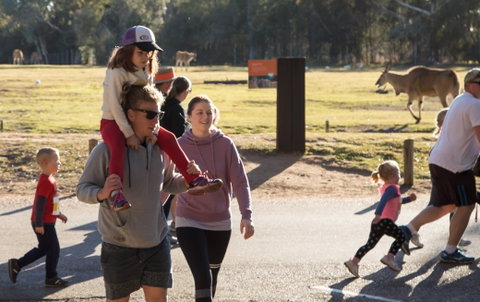 MAAS Group Dubbo Stampede Running Festival - New South Wales Tourism  1