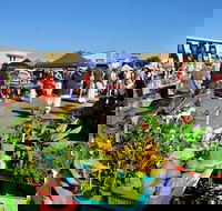 Maclean Macmarket Day - New South Wales Tourism 