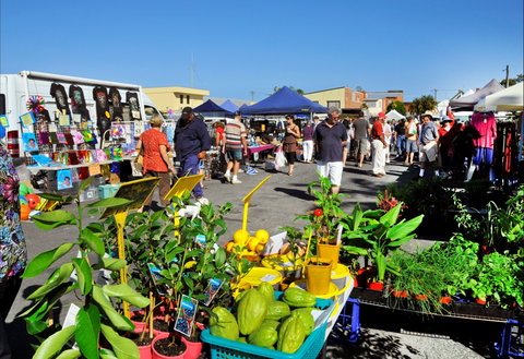 Maclean Macmarket Day - New South Wales Tourism  0