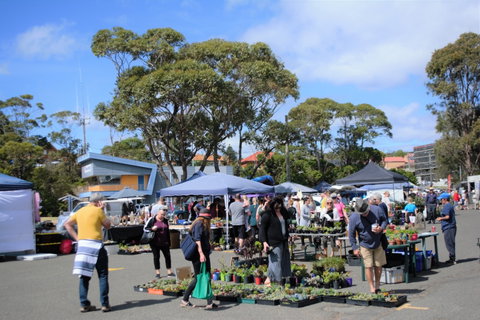 Marine Rescue Ulladulla Wharf Markets - New South Wales Tourism  1
