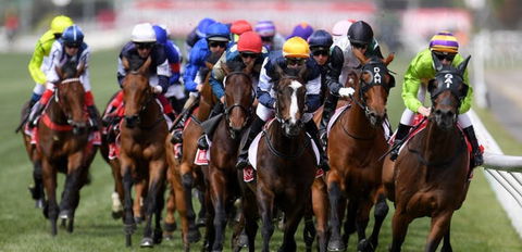 Melbourne Cup Lunch Cruise With Vagabond Cruises - New South Wales Tourism  1