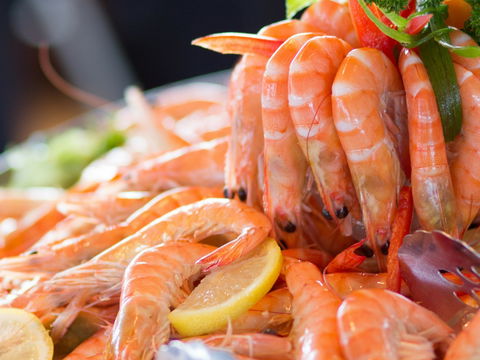 Melbourne Cup Lunch Cruise With Vagabond Cruises - New South Wales Tourism  2