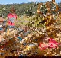 Mini Muddies Obstacle Challenge at Bunnamagoo Estate - New South Wales Tourism 