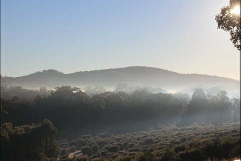 Mudgeeque - New South Wales Tourism  0