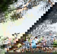 Music on the Murray - New South Wales Tourism 