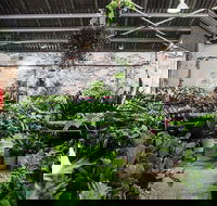 Newcastle - Huge Indoor Plant Warehouse Sale - Christmas Bonanza - New South Wales Tourism 