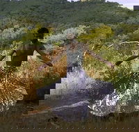 Online exhibition recess presents - New South Wales Tourism 