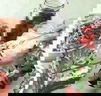 Online live streaming class Make Your Own Terrarium - New South Wales Tourism 