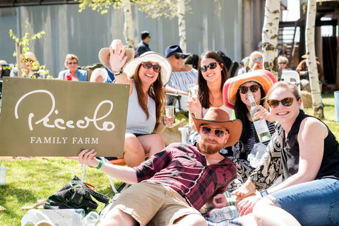 Owen Toyota Murrumbidgee Music Festival - New South Wales Tourism  1