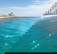 Pan Pacific Masters Games - New South Wales Tourism 